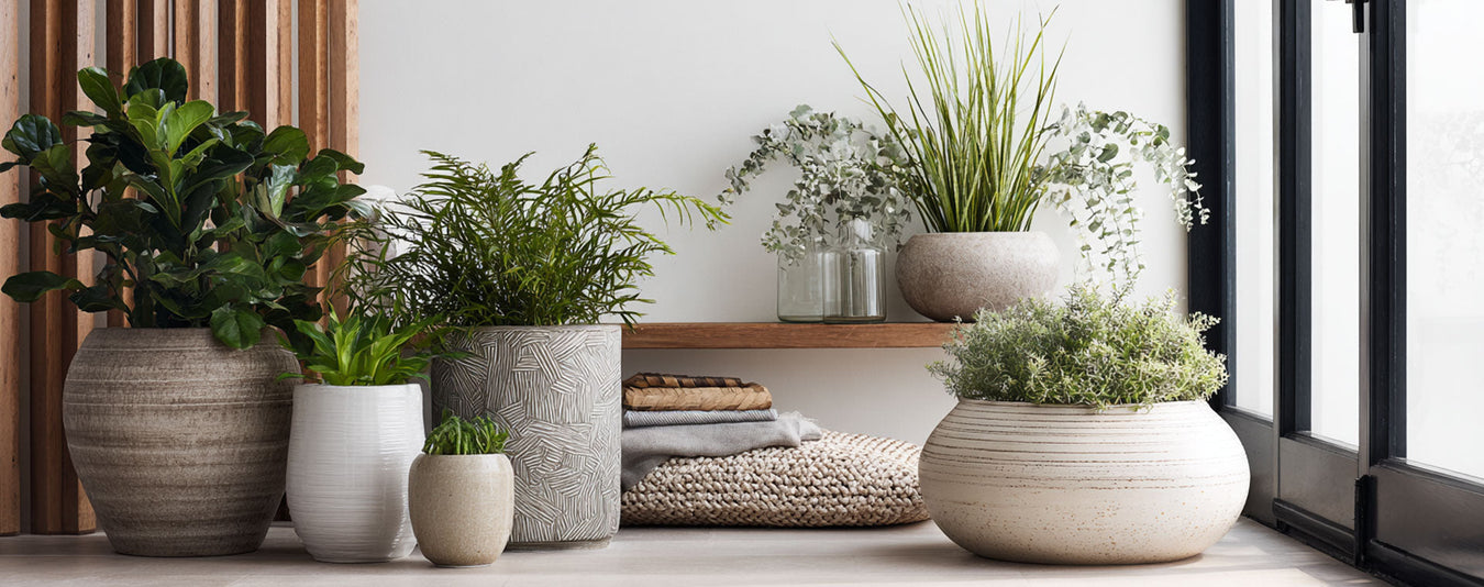 Pots & Planters