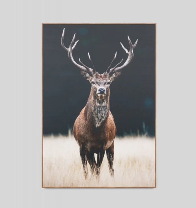 Meadow Deer Framed Canvas